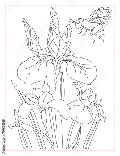 Iris Flower Coloring Page: Elegant and Graceful Floral Art