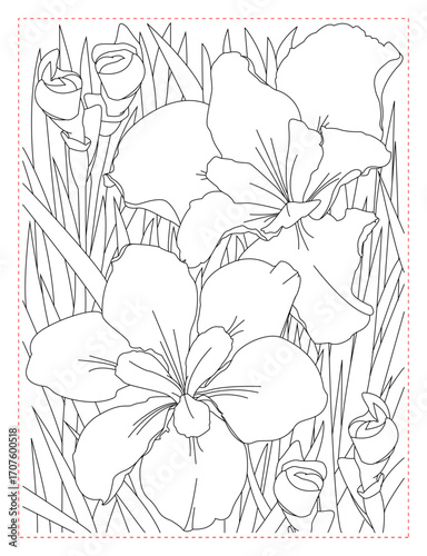 Iris Flower Coloring Page: Detailed Botanical Drawing of a Single Bloom