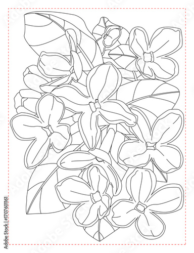 Syringa (Mock Orange) Coloring Page: Lush and Fragrant Floral Branches