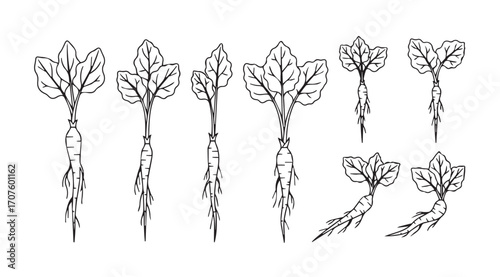 Collection of delicate leafy branch silhouettes with intricate veining
