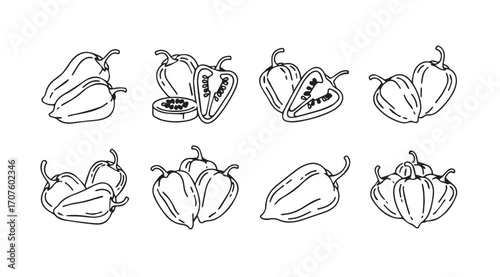 Collection of hand drawn bell pepper silhouettes in various poses and cuts