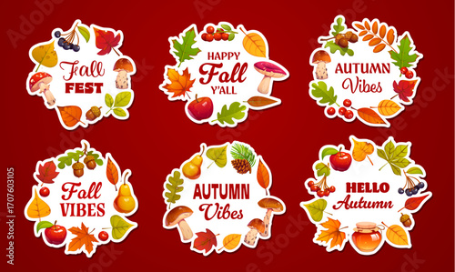 Autumn season stickers with festive typography like Fall Fest, Autumn Vibes and Hello Autumn surrounded by falling leaves, fruits and acorns, pinecones, mushrooms and jars of honey. Vector patches set