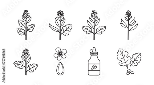 Collection of hand drawn botanical illustrations featuring leaves flowers and a bottle silhouette
