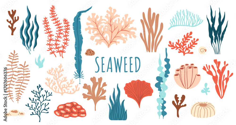 Naklejka premium Underwater seaweed, aquarium and sea algae plants. Vector flat set of coral reef tropical wildlife biodiversity. Ocean undersea water life, isolated marine weeds, wracks, laminaria, kelp oceanic flora