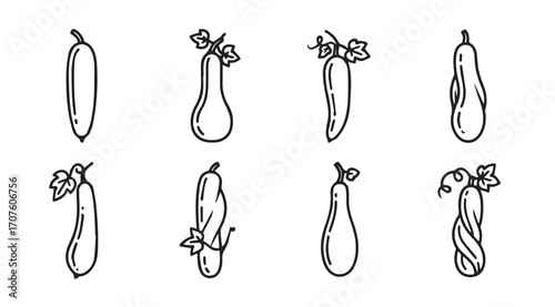 Collection of hand drawn cucumber and squash vegetable silhouettes