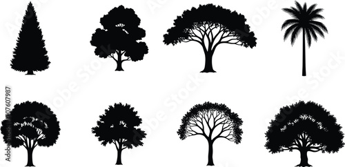 Collection of tree silhouette vector icons, tropical and deciduous tree shapes, forest nature elements, black tree graphics for design use