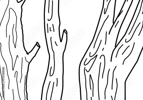 Trees trunk outline illustration design.eps
