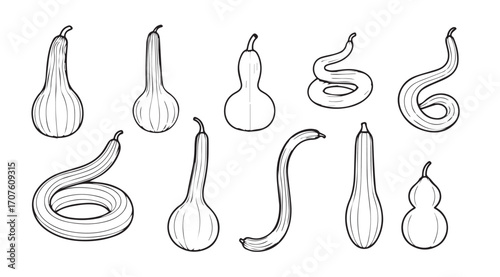 Collection of hand drawn gourd and squash silhouettes in various shapes