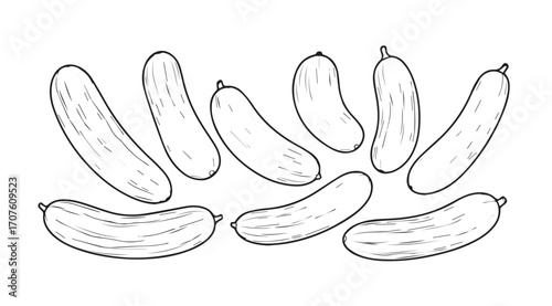 A collection of fresh cucumbers drawn in a distinctive silhouette style