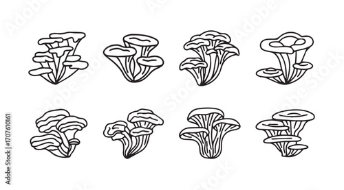 Collection of eight hand drawn oyster mushroom silhouettes in outline style