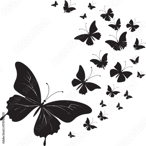 A large butterfly leads a swarm of smaller black silhouette butterflies Keywords: butterfly