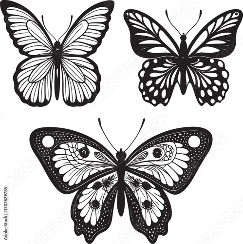 Three detailed black and white butterfly illustrations arranged vertically butterflies insect