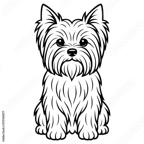 Cute yorkshire terrier dog illustration sitting