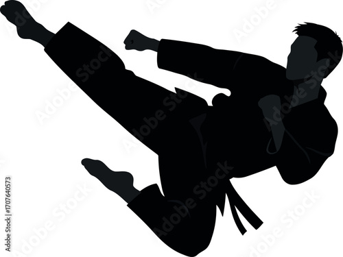 Vector art of silhouette of a man performing a martial arts kick, transparent background