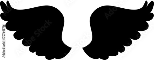 Vector silhouette of a wings abstract illustration