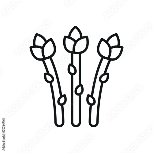 Asparagus icon in line style for organic, farming, and diet visuals.