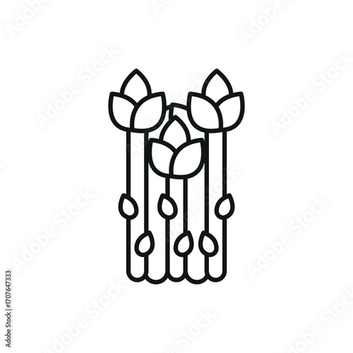 Asparagus icon in line style for organic, farming, and diet visuals.