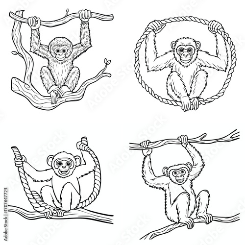 Gibbon elegant line art vector mix in a clean minimal style.