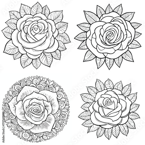 Rose beautiful line drawing vector collection combined in one artwork.