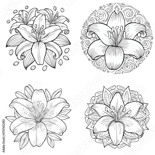Lily beautiful line drawing vector collection combined in one artwork.