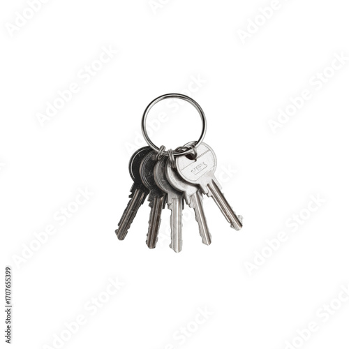 A Bunch of Keys on a Ring - Security, Home, and Access Concept