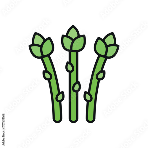Asparagus icon in color with line for eco, vegetable, and nutrition content.