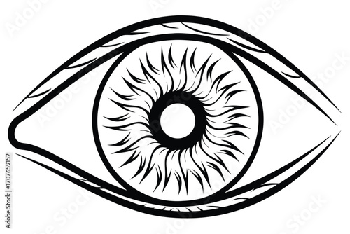 Detailed black outline of an eye shows a complex iris pattern clearly