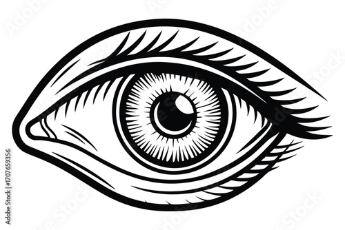 Detailed shows an open human eye with lashes in black and white