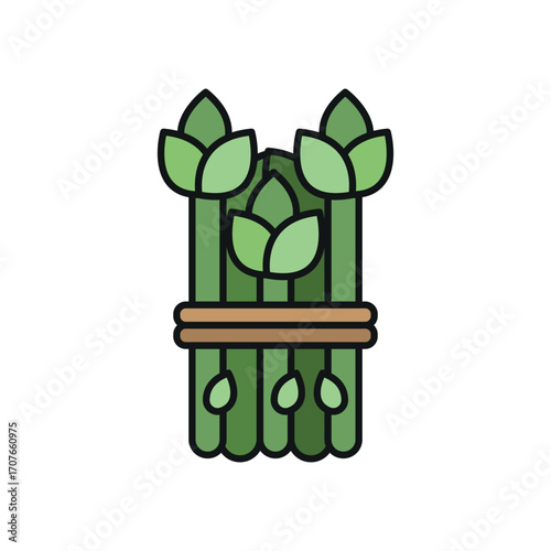 Asparagus icon in color with line for eco, vegetable, and nutrition content.