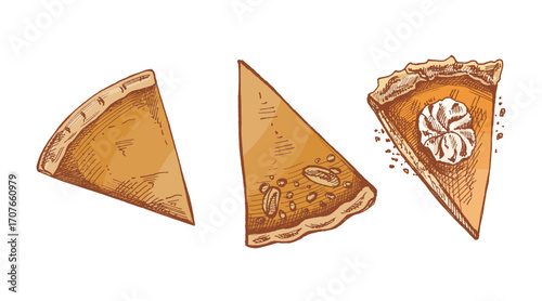 Hand drawn vintage sketch set of three pie slices with plain crust nut topping and whipped cream decoration