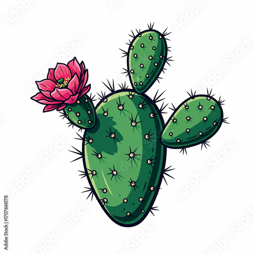 drawing, illustration, cactus, design, vector, art, graphic, nature, desert, summer, arizona, cartoon, plant, background, botanical, western, floral, flower, cacti, isolated, exotic, cute, succulent, 
