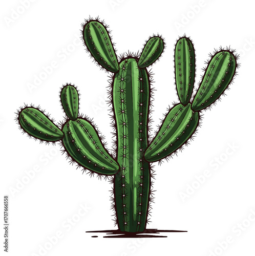 drawing, illustration, cactus, design, vector, art, graphic, nature, desert, summer, arizona, cartoon, plant, background, botanical, western, floral, flower, cacti, isolated, exotic, cute, succulent, 