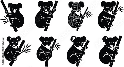 Koala illustrations sitting on eucalyptus branches in various poses, Australian wildlife vector set, marsupial animal graphic, nature design elements, tropical forest artwork collection