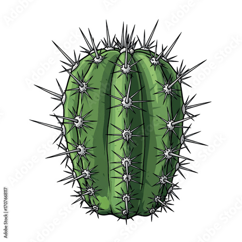 drawing, illustration, cactus, design, vector, art, graphic, nature, desert, summer, arizona, cartoon, plant, background, botanical, western, floral, flower, cacti, isolated, exotic, cute, succulent, 