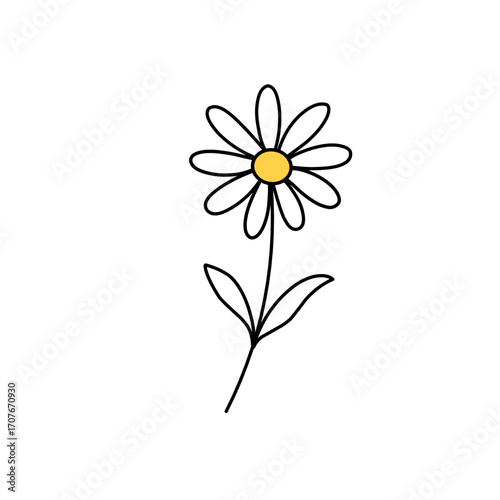 White daisy flower illustration with hand drawn outline