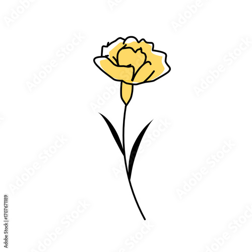 Yellow carnation flower drawing in minimal vector style