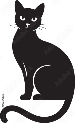 Elegant silhouette of a black cat sitting with tail curled a mystical and charming companion