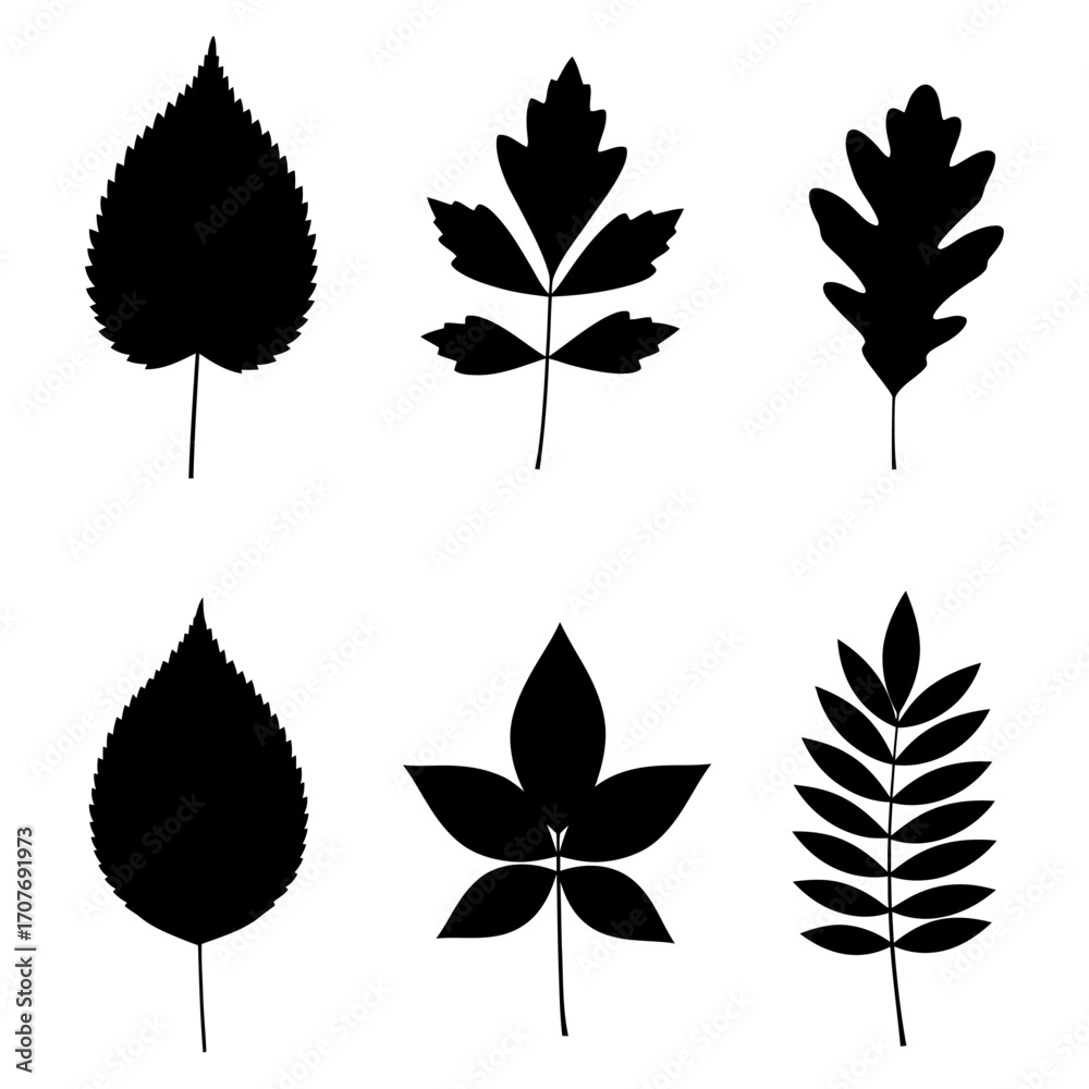 Fototapeta premium Set of monochrome silhouettes of different tree leaves isolated on white. Perfect for design or decoration