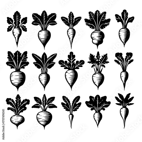Collection of fifteen stylized black and white beet illustrations with varying shapes and leaf designs