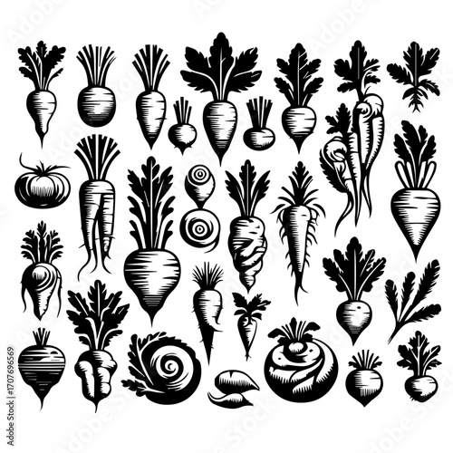 Illustration of various root vegetables including carrots turnips and radishes in black and white style art