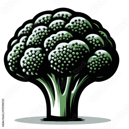 A stylized illustration of a broccoli head with green stalks and a dark outline on a white backdrop