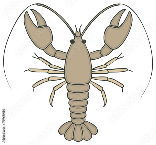 Clawed Crustacean with Antennae and Segmented Tail and Legs