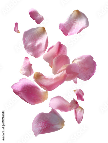 Wallpaper Mural Floating rose petals softly cascading in delicate beauty floral arrangement depicting romance and tenderness organic elegance close up of scattered rose petals against dark Torontodigital.ca