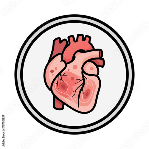 Stylized anatomical illustration of a human heart, showing internal structure within a circular frame.
