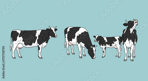 Illustration of a cow family, including a calf, with black and white markings, standing and grazing on a light blue background.
