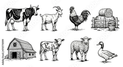 A collection of farm animals and objects including a cow, goat, rooster, hay bales, barn, calf, sheep, and duck, rendered in a detailed engraving style.