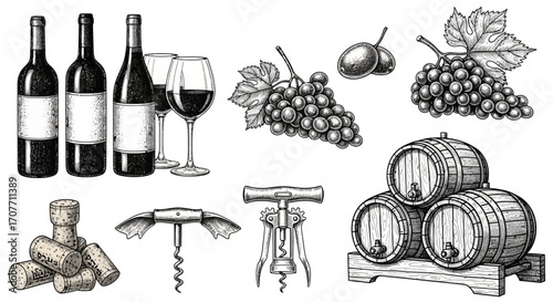 Engraved illustration of wine elements: bottles, glasses, grapes, olives, barrels, corks, and corkscrews, showcasing a wine-making theme.