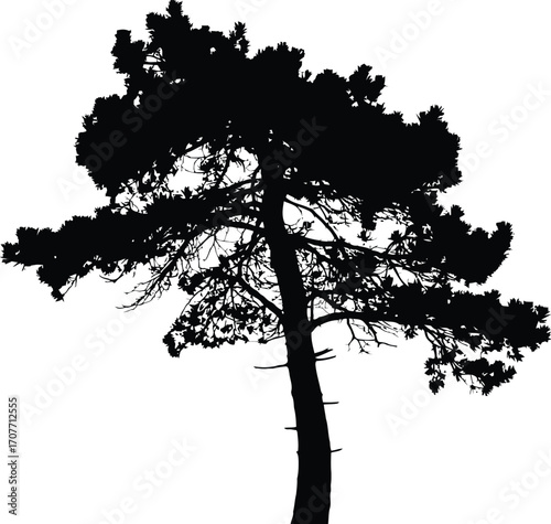  Tree svg, Forest svg, Palm Tree svg, Tree Line svg png, Landscape svg,Tree Silhouette,