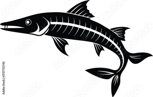 Black Silhouette Barracuda Fish Skeleton Illustration Vector
