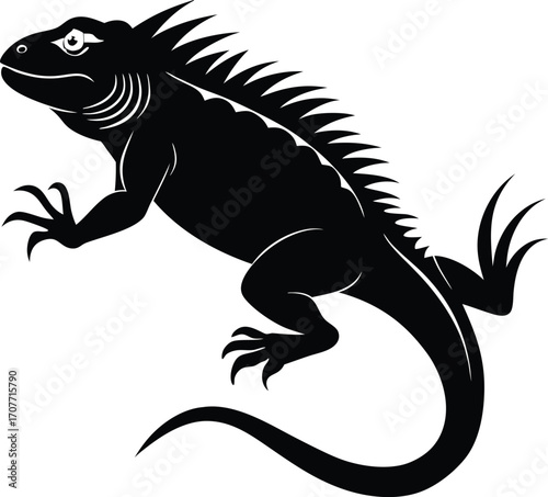 Black Silhouette Iguana Illustration on White Background